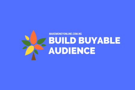 Steps to Build a Buying Audience Online in any Niche Steps to Build a Buying Audience Online in any Niche