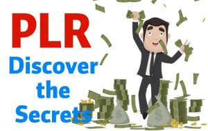 7 of my top ways to profit from PLR products