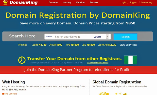 DomainKing.NG Review: Domain Name Registration, Web Hosting and Pricing