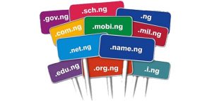 Best Domain Name for Nigerian Bloggers - .com.ng and .ng VS .com, .net, .org